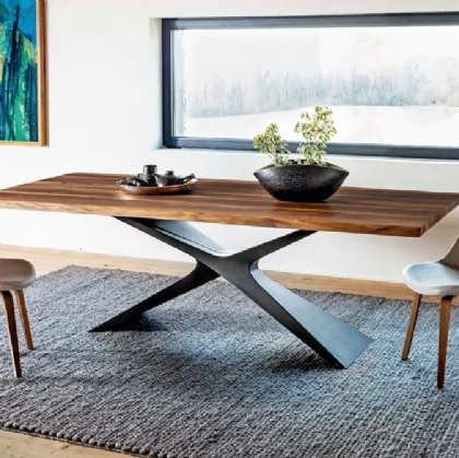 Tavolo Nexus con top in legno massello di Noce e base effetto cemento di Midj